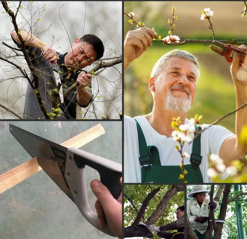 Bar Peeler ,Ice Saw,Special Saw,Wood Pruning Saw.Bartender Ice,Garden Chainsaws Tools; Cut From