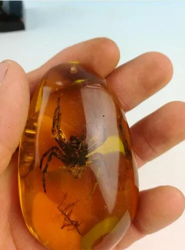 Rara araña ámbar araña ámbar Pendant287A