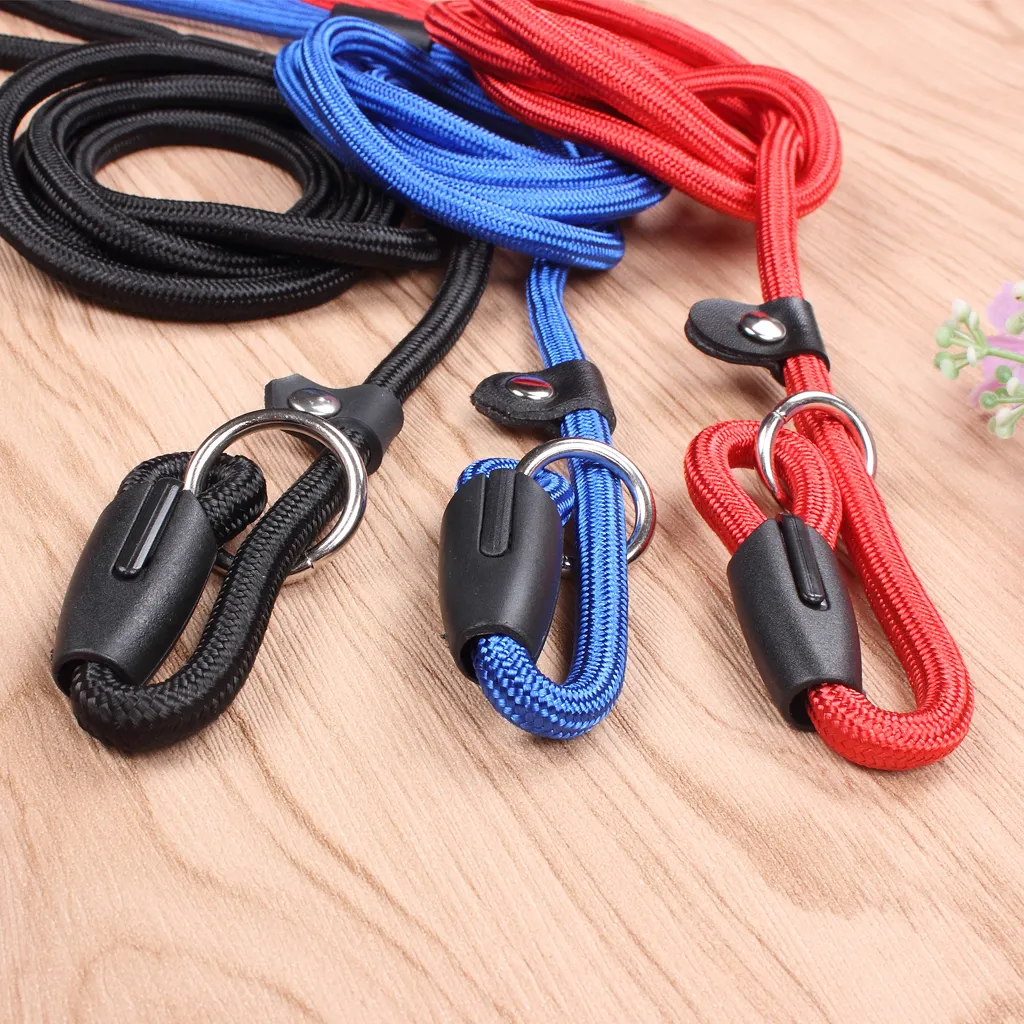 Pet Dog Nylon Ajustável Collar Training Loop Slip Leash Corda Chumbo Pequeno Tamanho Vermelho Azul Preto Cor