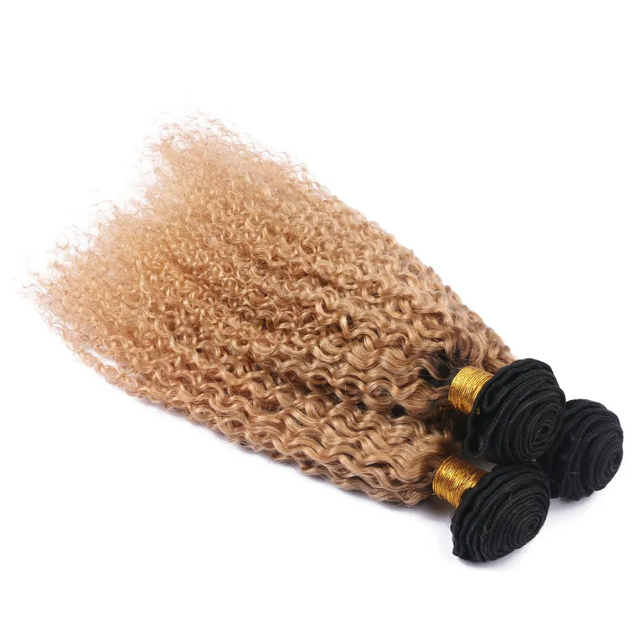Two Tone 1b 27 Honey Blonde Ombre Kinky Curly Hair Extension Lot Afro Kinky Curl Brazilian Virgin Human Hair Weaves Wedding H8243746