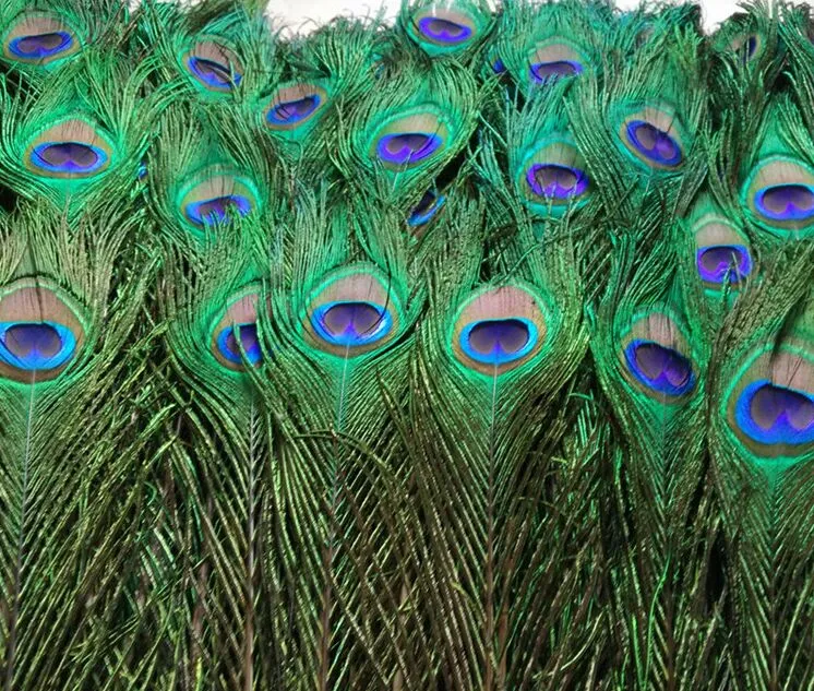 Great Decoration Natural Peacocks Tail Feathers Dried Wheat Grass Wreath Bulk  Feathers 10 1225 30cm Peacock FeathersPlume From Rexbaby, $0.22