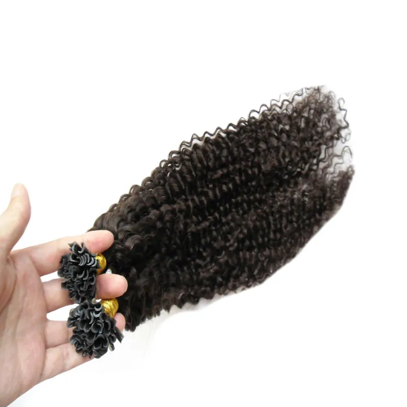 Mörkbrun brasiliansk lockigt hår naturlig färg u Tip Human Hair Extension 100g kinky Curly Pre Bonded Fusion Human Hair Extensions4930285