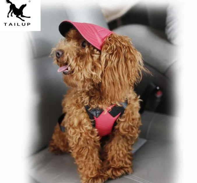 21018 Suministros Para Mascotas Ropa Accesorios Pato De Béisbol Lengua Visera Sombrero Multicolor Perro Visera Sombrero Envío Gratis De 14,75 € | DHgate