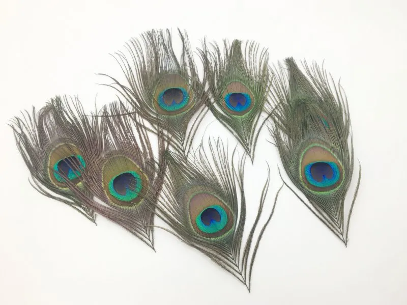 Lote de de 10-15 cm Beautiful Natural Peacock Feather para o palco da festa de casamento Decorate Fashion realmente Peack Feather243b