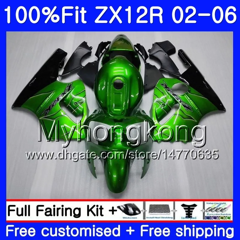 Injektion för Kawasaki ZX1200 ZX 12R 2002 2003 2004 2005 2006 224HM.29 ZX-12R 12 R 1200cc ZX12R 02 03 04 05 06 Glansig grön fairing