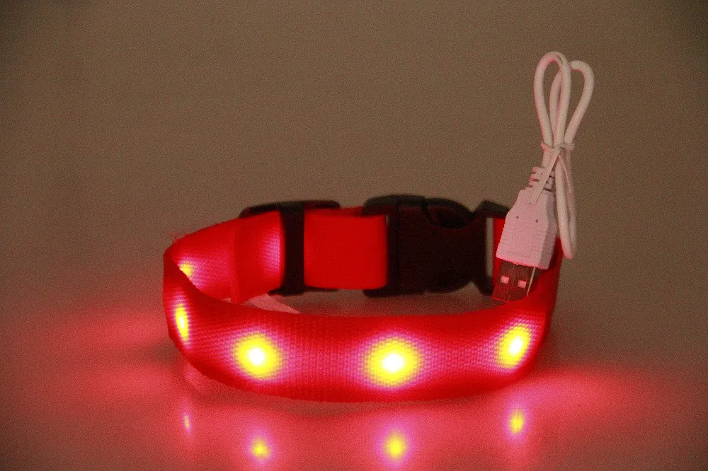 Nyaste Led Pet Dog Collar Uppladdningsbar USB 4 Storlek Justerbar Blinkande Säkerhet På Natt Passar alla Pet Gummi Dog Collar