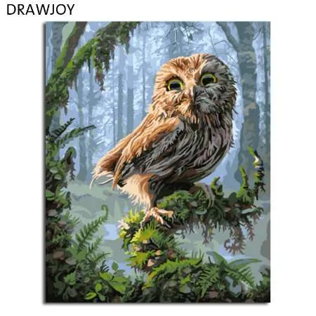 DRAWJOY Encadré Photos Peinture Par Numéros Hibou DIY Numérique Peinture À L'huile Sur Toile Décoration de La Maison Mur Art GX8346 40*50 cm