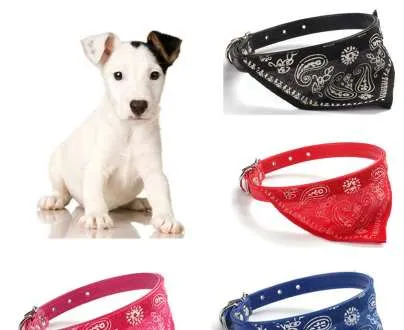 Nouveau 1 PC collier de chien de compagnie pour petit chien chiot produits pour animaux de compagnie chat chiots colliers écharpe foulard collier triangulaire Bandage