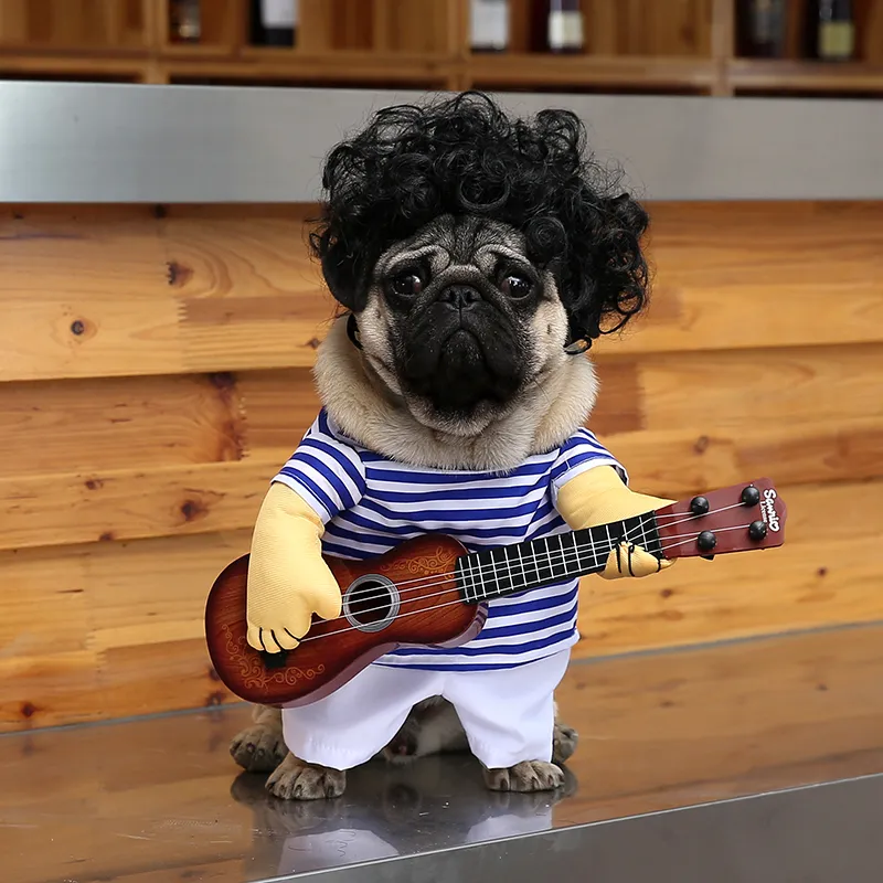 Pug sales puppy outfits