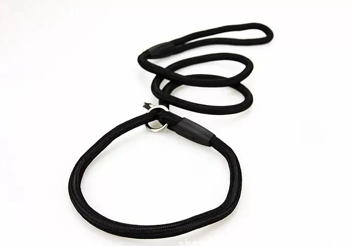 Piet Dog Nylon Rope Training Leash Slip Cinghia Lead Traction Collar regolabile Animali animali domestici Accessori 0 6130 cm HH71171658046