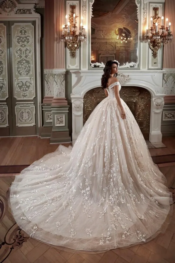 40 Dream Wedding Gowns For Every Bride In 2019 | Sheer wedding dress, Lace  applique wedding dress, Wedding gown trends