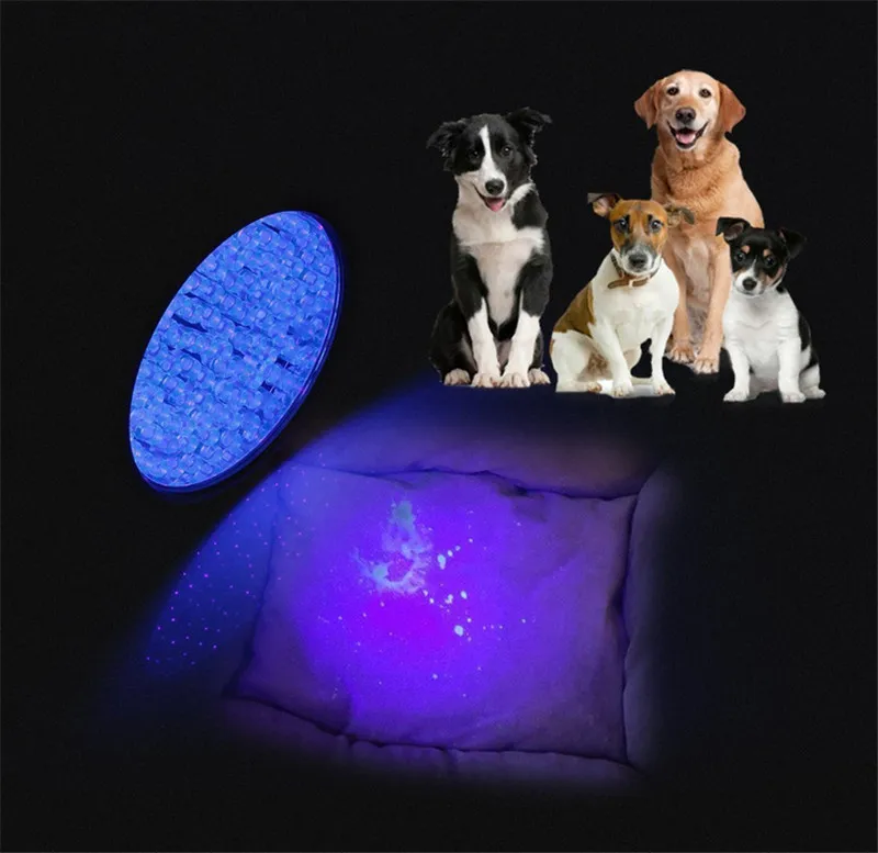 390-400NM 100LED UV-Taschenlampe Schwarzlicht Pet Urin Teppich Flecken Taschenlampe Banknotenprüfer mit UV-Sonnenbrille Schutzbrille