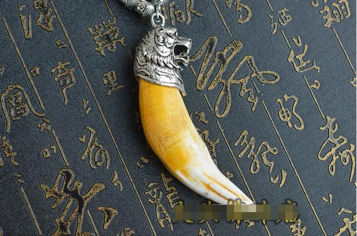 Tiger teeth gold pendant on sale