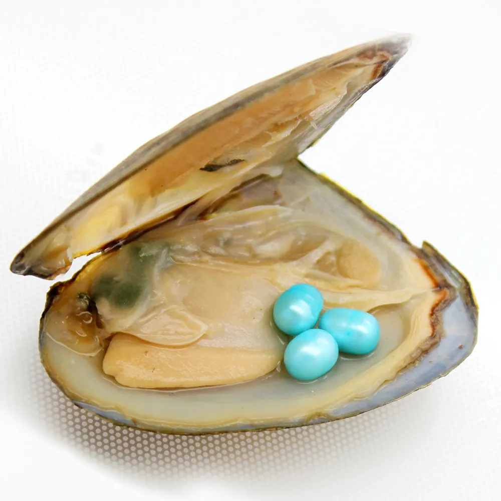 Oval Pearl Oyster、パールは淡水パール6-8mmカラー＃3（スカイブルー）、真空包装スポット卸売（送料無料）