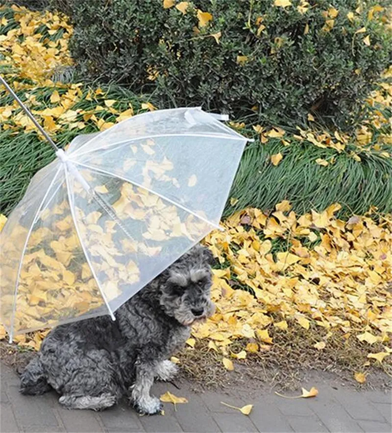 Ombrelli portatili cani con manico lungo e confortevole Ombrello in PE trasparente Impermeabile ecologico animali domestici 9 2jn Y4102978