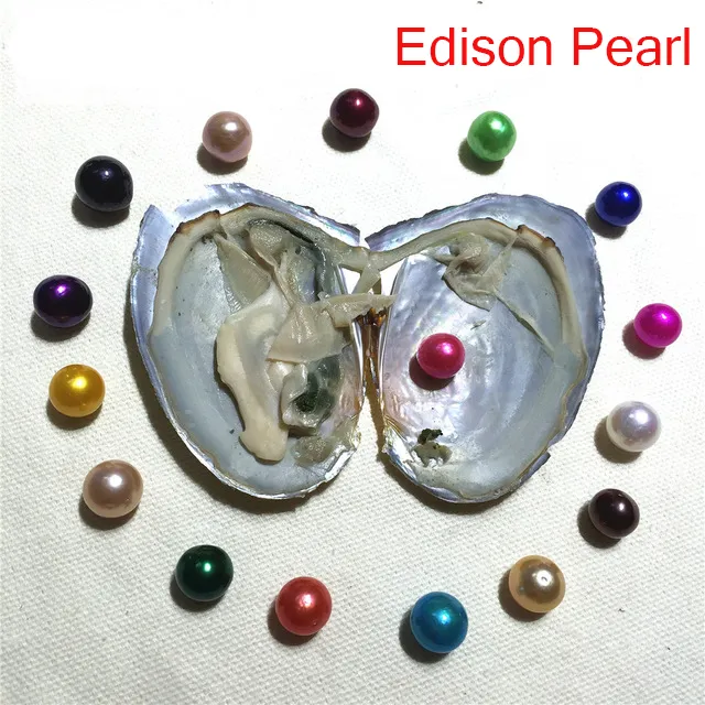 Ny DIY 9-11mm Edison Pearl Oyster Fresh Water Akoya Wholesale in Shell Vakuumpackad födelsedagspresent Pearl Show