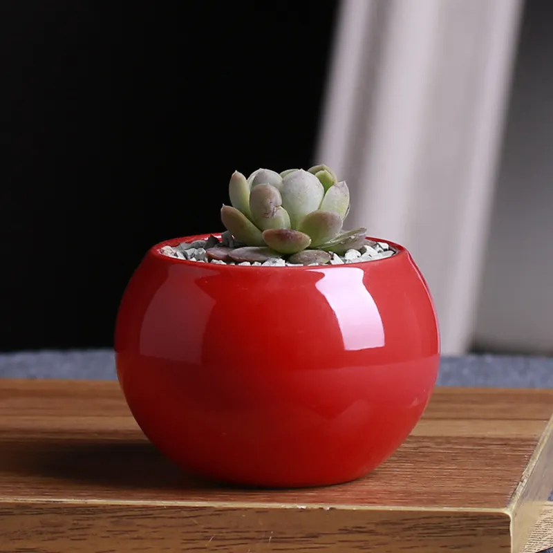 Fashion Ceramic Pots Succulents Flower Pot Small Ball Round White Porcelain White Color Mini Creative 