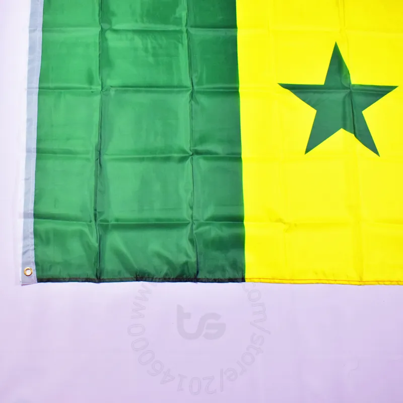 Drapeau Sénégal - 90 x 150 cm
