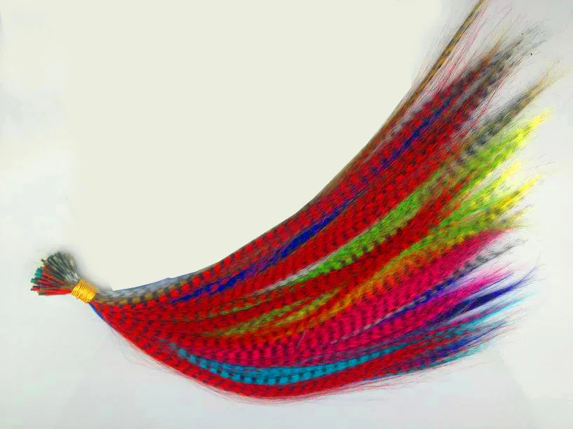 Grizzly feathers wholesale top