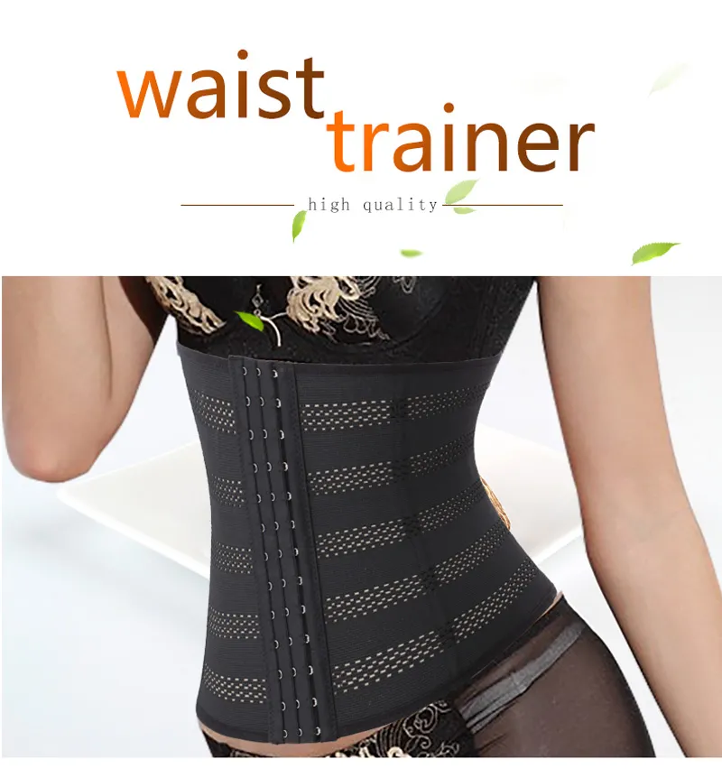 Gotoly Plus Size 6XL Waist Trainer Belt Women Slimming Body Shaper  Underwear Tummy Control Waist Cincher Corset Fitness Girdles8676958 From  Anfuyihai, $16.42