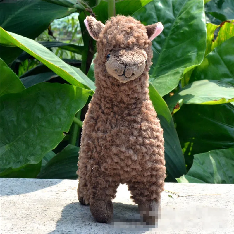 Kawaii Alpaca Plush Toys 23 см Арпакассо Ллама Фаршированные куклы животных японские плюшевые игрушки дети День рождения рождественский подарок 2405465