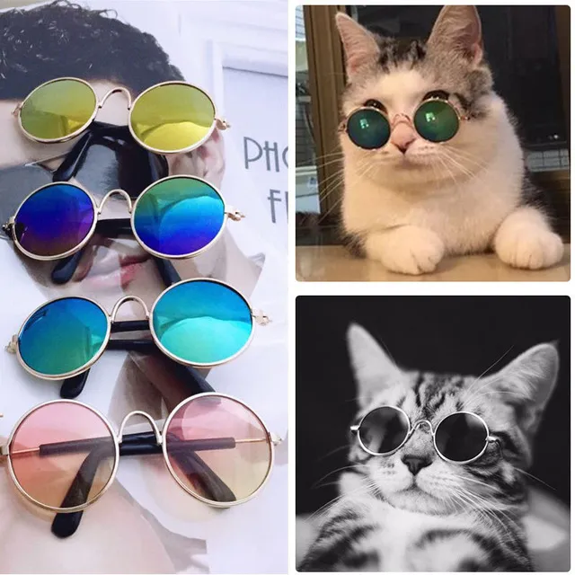 Mode Gläser Kleine Haustier Hunde Katze Sonnenbrille Brillen Schutz Haustier Coole Gläser Haustier Sonnenbrille Fotos Requisiten Farbe nach dem Zufallsprinzip