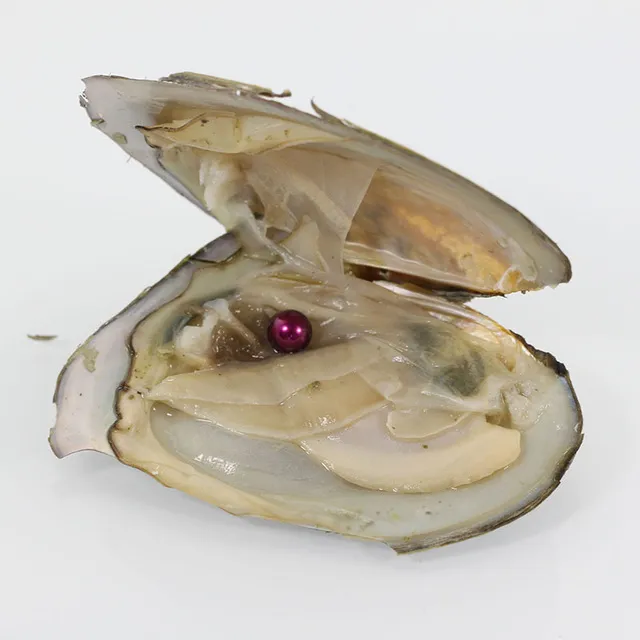 Großhandel DIY-Süßwasserperlen in Austern 25 Farben Perlen Austernperlen mit Vakuumverpackung Luxusschmuck Geburtstagsgeschenk für Frauen