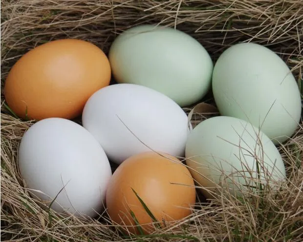 Simulação de aves de capoeira de madeira ovos falsos Gansos de pato Hatch incubação criando a casa de brinquedo de cozinha pintura de brinquedo de páscoa presente