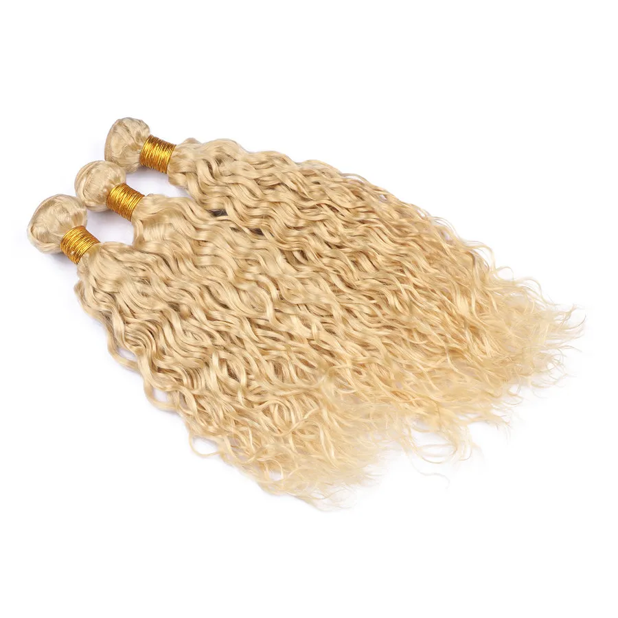 613 Blonde Water Wave Bundles with Closure - Russian Virgin  display picture 2