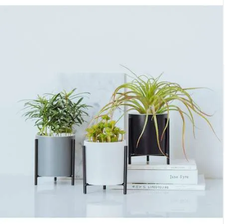 Dekorativ Modern Iron Rack Holder Desktop med keramikporslin Planter Garden Succulents Betongblomma Pott