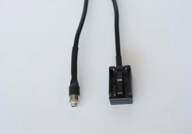 Bilfamel Man i Input aux-kabel för BMW E39 E53 X5 X5M 2001 2002 2003