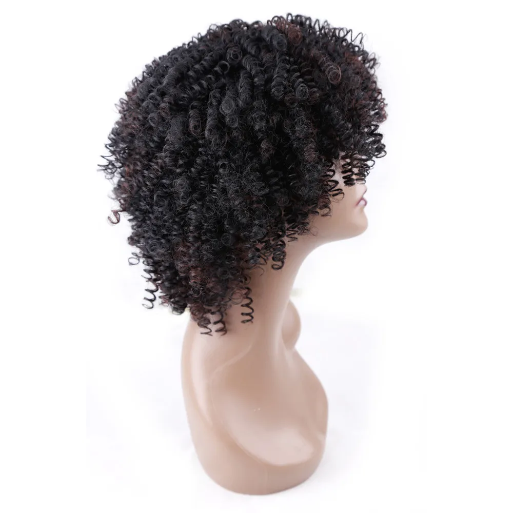 Fashion Short Afro Kinky Curly Wigs för Kvinnor Black Brown Ombre Syntetisk peruk med Full Hair Wig Cosplay