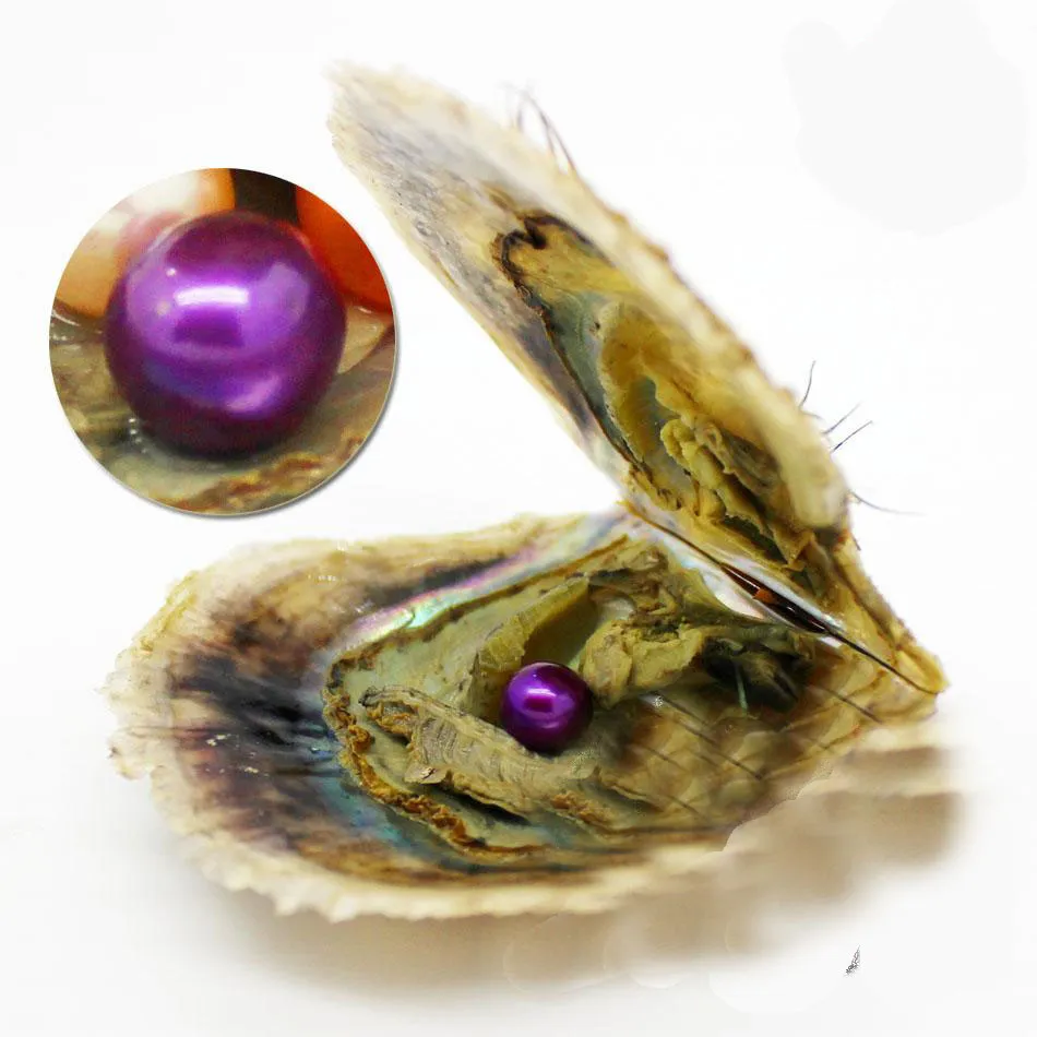 2018 NYHET 6-7mm Round Variety Good of Color Seawater Pearl Oysters Individuellt Vacuum Pack Fashion Trend Gift Surprise Shell