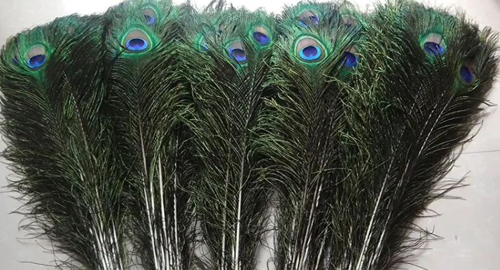 500 Pieces 10-12 Natural Peacock Tail Feathers