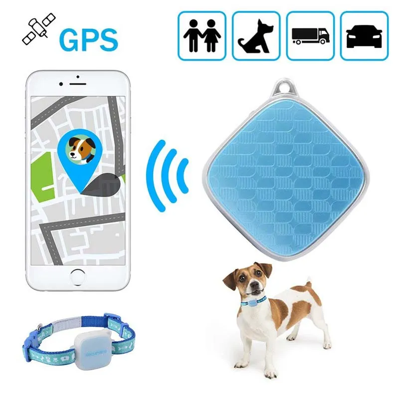 Rastreador GPS para mascotas, rastreador GPS para perros y buscador de  mascotas, impermeable, localización y actividad, collar para perros, gatos