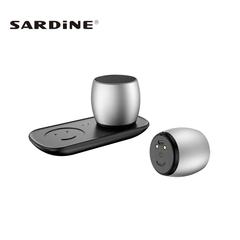 Haut-parleurs Bluetooth en aluminium TWS Sardine F1 caisson de basses colonne métallique haut-parleur de basse station de charge pour iPhone mains micro Portable L6893260