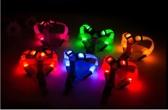 Imbracatura animali domestici a LED Collari cani Guinzagli gatti Collare di luce lampeggiante Cani di sicurezza cani Cuccioli Gatti Imbracature Forniture Guinzaglio animali domestici Vendita calda