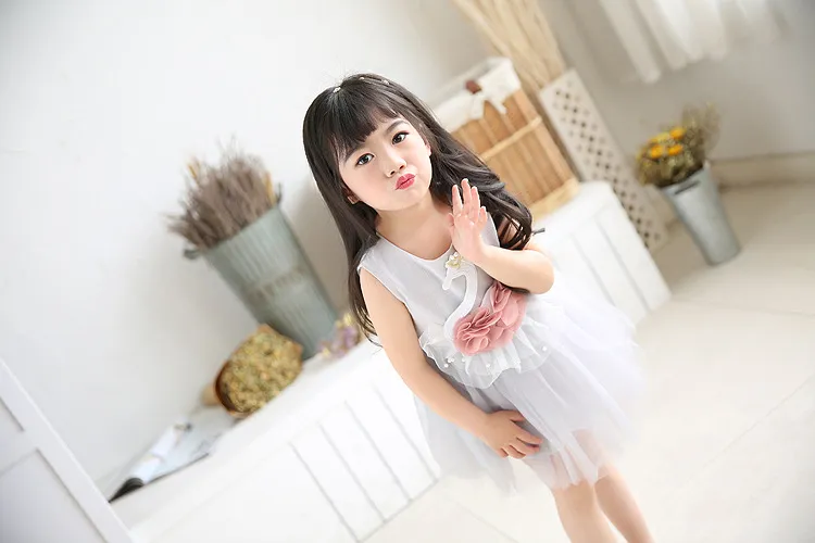 2018 Baby Mädchen Sommer Kleidung Nette Kleinkind Mädchen Schwan Prinzessin Party Geburtstag Festzug Kleid Kinder Baby Mädchen Tutu Kleid Sommerkleid mädchen Kleider