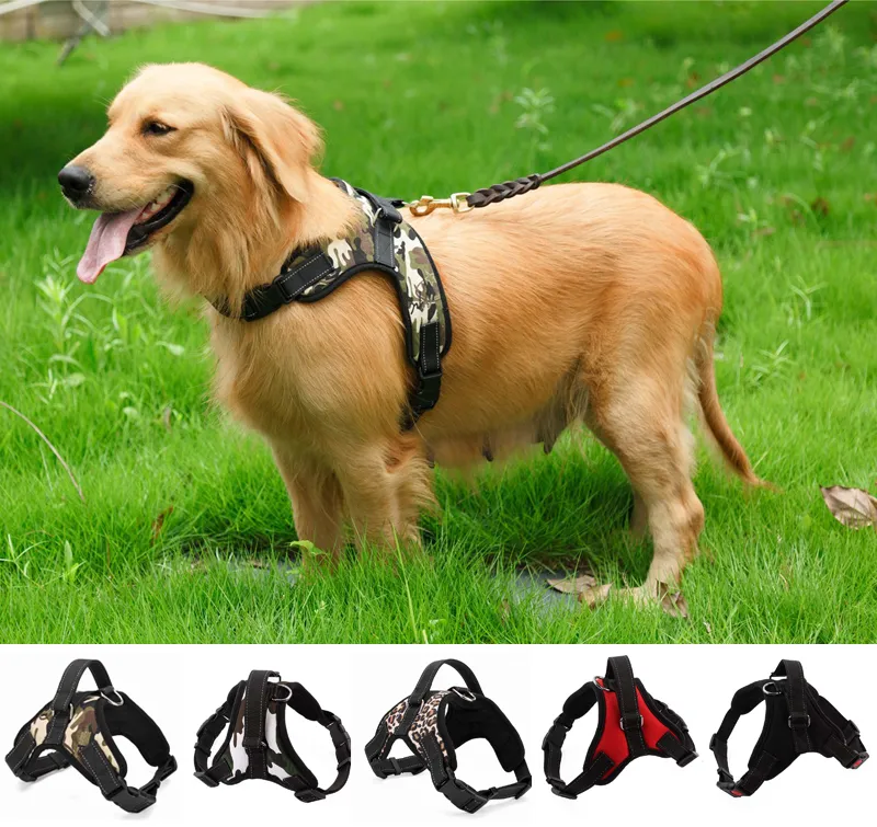 Adjustable Dog Harness Vest Collar Canvas Big Dog Rope Collar Hand Strap Pet Traction Rope For Large Dog2437