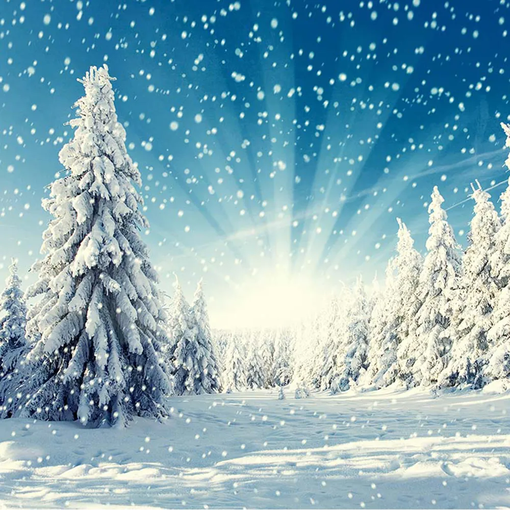 겨울 경치 좋은 사진 배경 두꺼운 눈 덮힌 소나무 햇빛 떨어지는 눈송이 아이 휴가 사진 촬영 배경