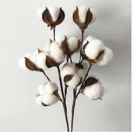 6 cabeças ramo florescer natural algodão artificial plantas floresce ramo para decoração de casamento caseiro decoração de flores falsas