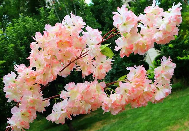 Fake Cherry Flower Branch Flower Begonia Sakura Tree Stem with Green Leaf 108cm for Artificial Decorative Flowers