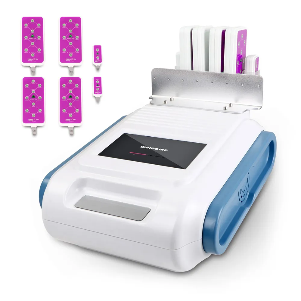 Machine professionnelle de beauté amincissante au Laser Lipo, 160mw LLLT, 635nm ~ 650nm, pour éliminer les graisses, avec 4 grands + 2 petits tampons