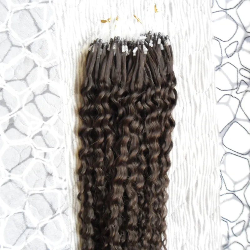 Extensions de cheveux humains Curly Micro Loop Loop Anneaux Hair Extensions 100g 1Gs 100s Remy Micro Bead Extensions de cheveux Darkest Brown5351485