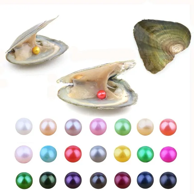 Ny Akoya Högkvalitativ Cheap Love Freshwater Shell Pearl Oyster 6-7mm Red Gray Light Blue Pearl Oyster med vakuumförpackning A-1008