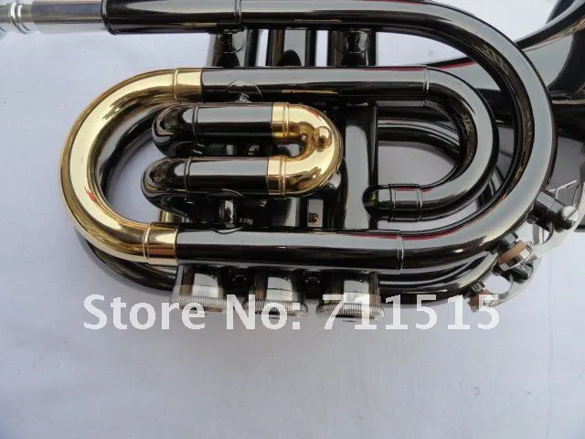 OVES 독특한 아름 다운 포켓 Bb 트럼펫 전문 악기 황동 튜브 표면 블랙 도금 된 트럼펫 케이스
