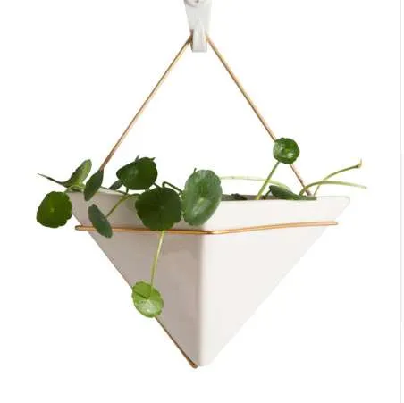 Vaso Da Fiori Contenitore Per Piante Grasse Vaso In Vetro Appeso Decorazione Del Giardino Di Casa 94218152