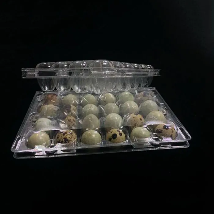 Boîtes de conteneur d'œufs de caille à 24 trous, boîtes d'emballage en plastique, accessoires de cuisine