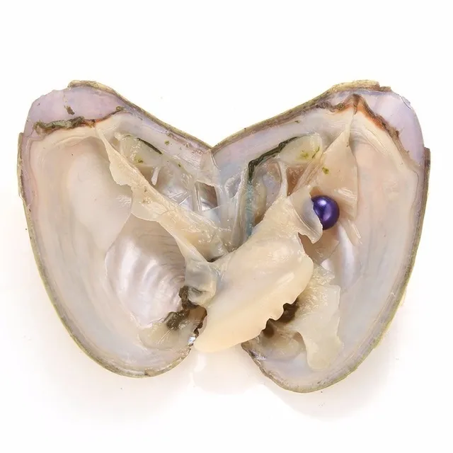 2018 DIY Akoya hochwertige billige liebe süßwasser shell perle oyster 6-7mm rot grau hellblau perle oyster mit vakuumverpackung A-1008