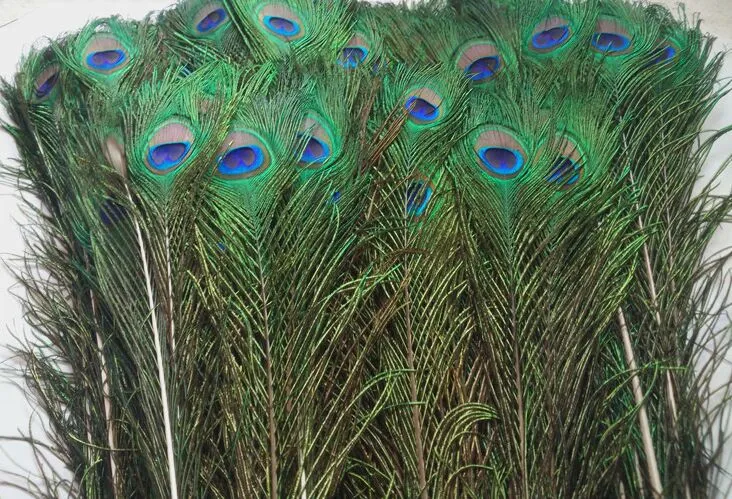 Great Decoration Natural Peacocks Tail Feathers Dried Wheat Grass Wreath Bulk  Feathers 10 1225 30cm Peacock FeathersPlume From Rexbaby, $0.22